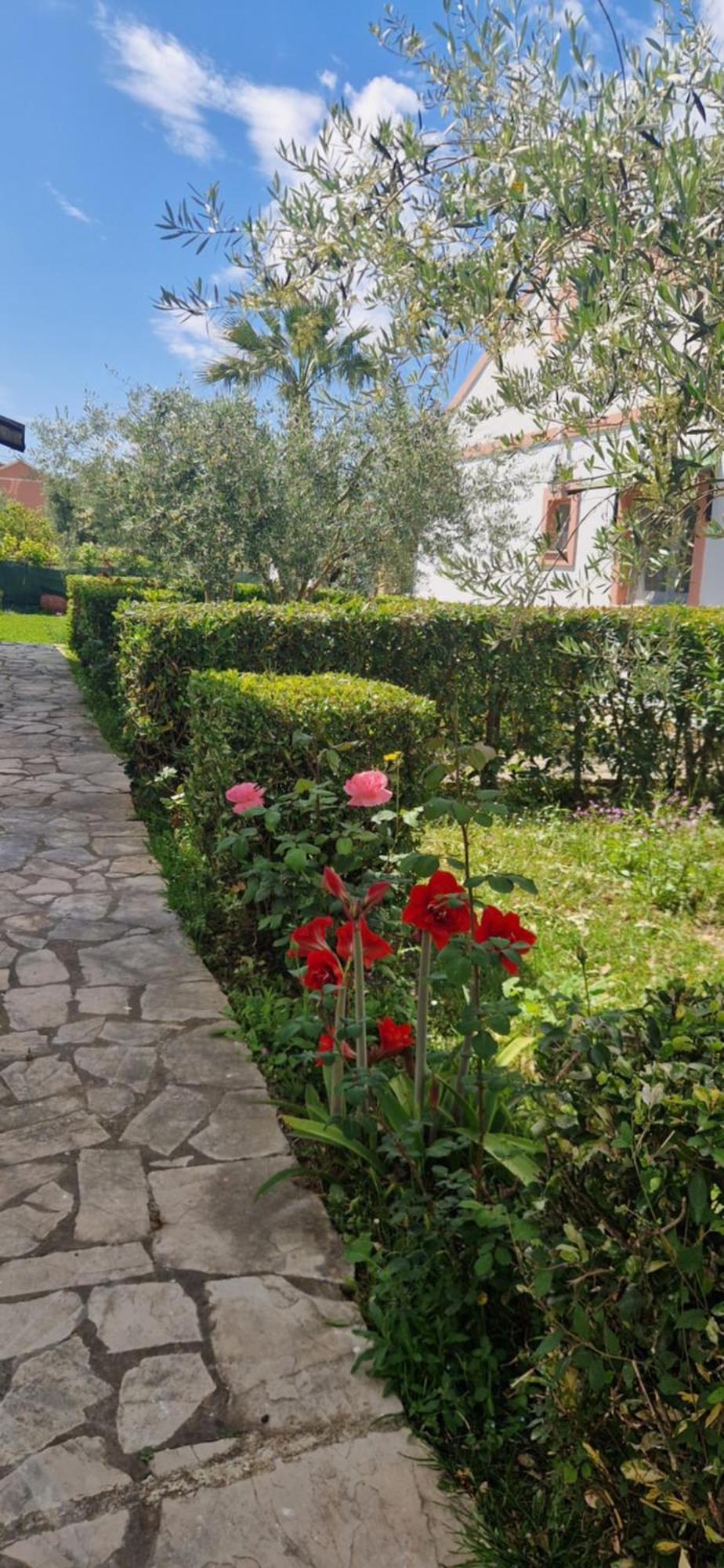 Corfu Studio 4U Roda  Exterior photo